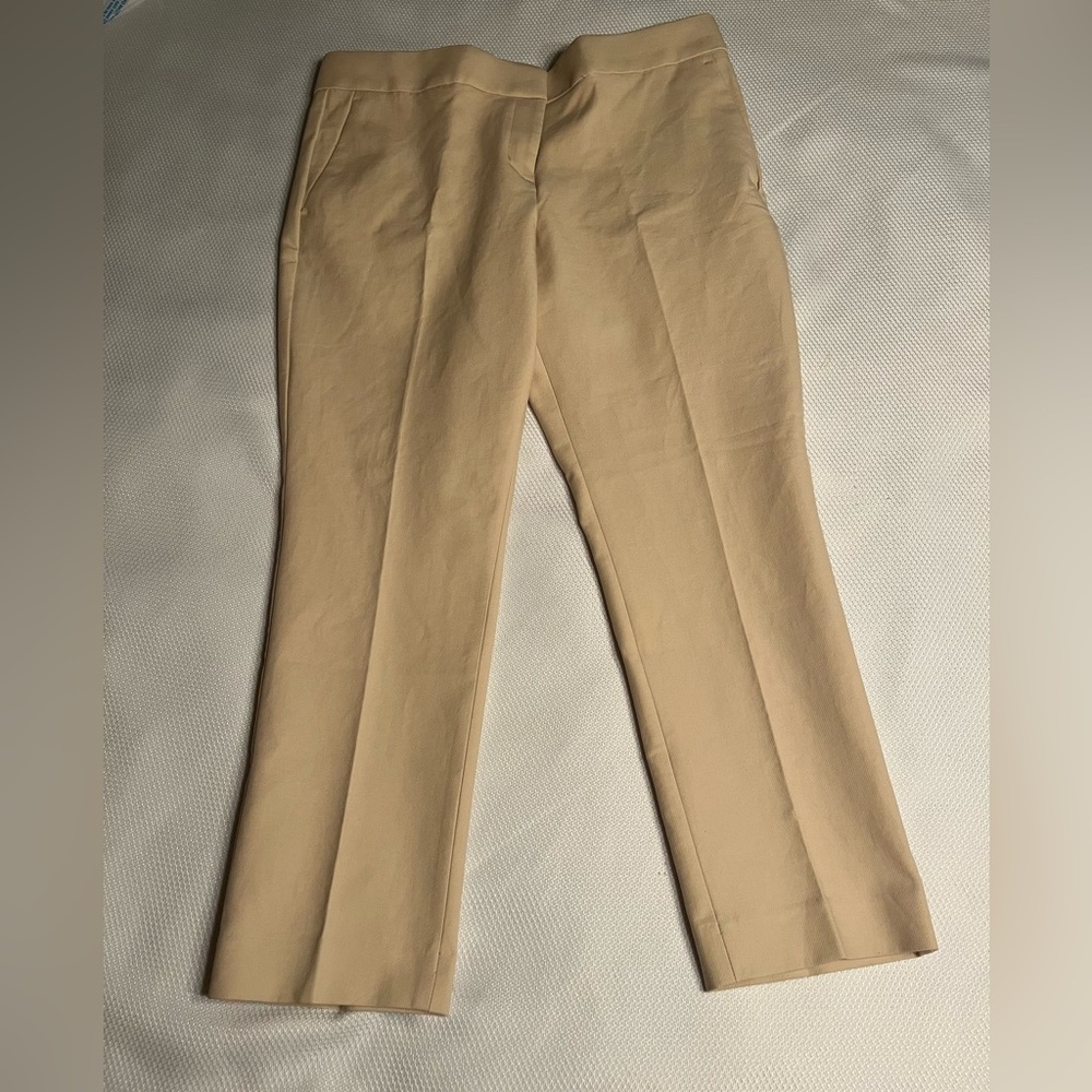 Ann Taylor Devin Fit Dress Pants
